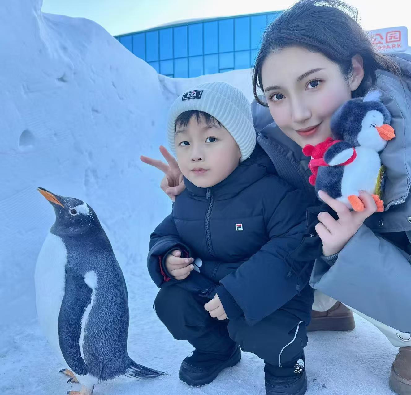 供应帽带企鹅的安顺厂家