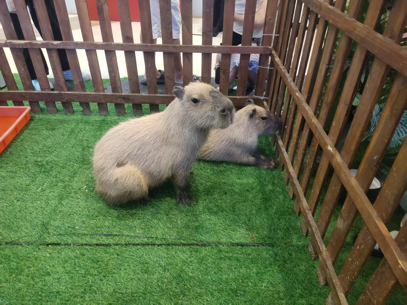 徐州睢宁发货及时的企业团建公司