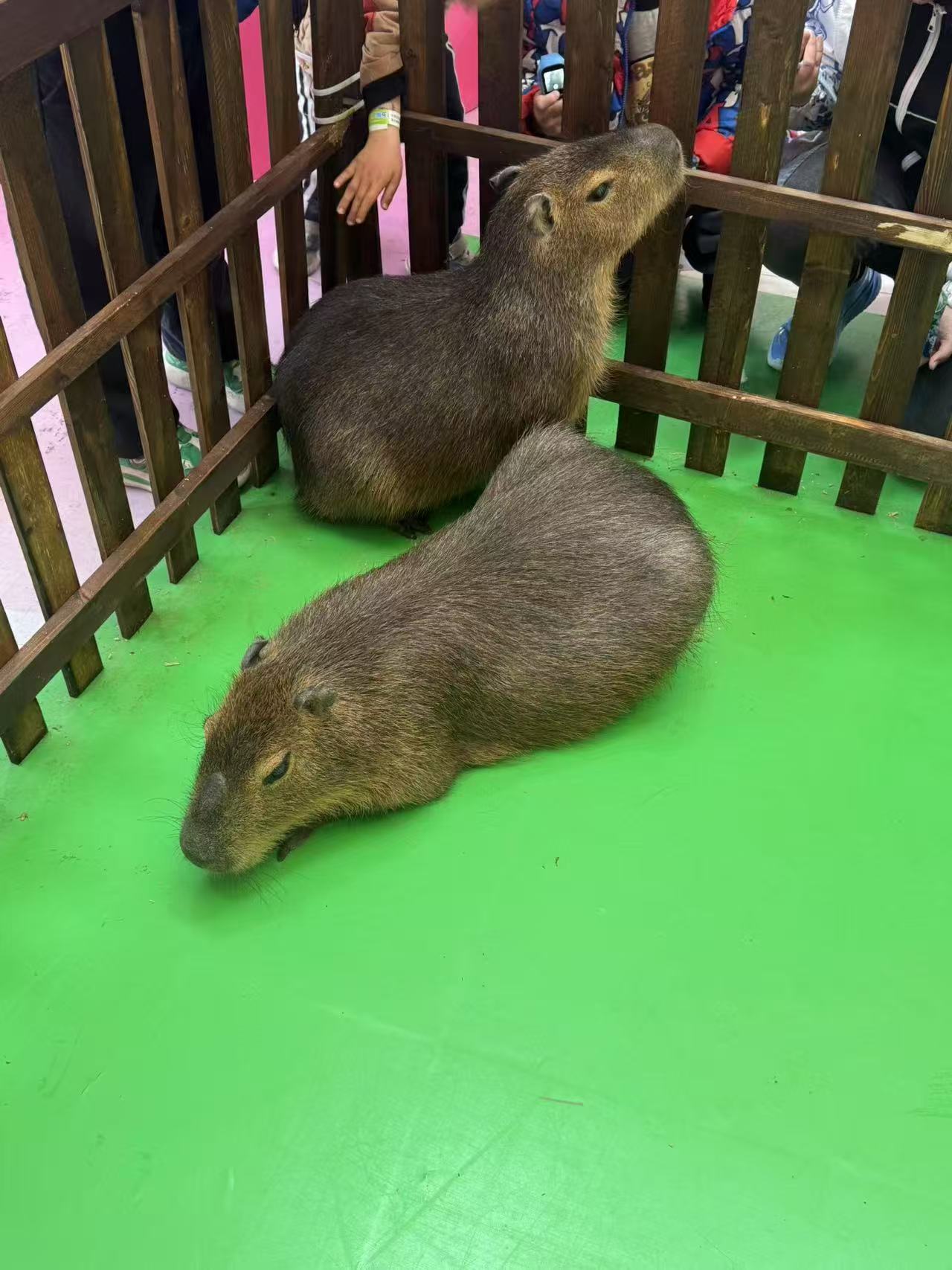 诚信供应租赁资质核查的厂家