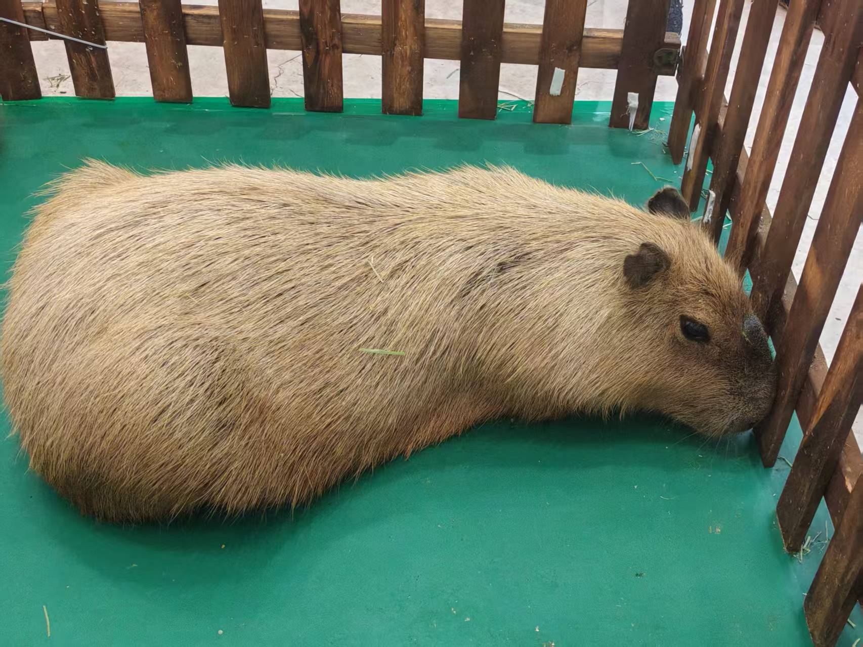 临沂郯城生产策划质量可靠的厂家