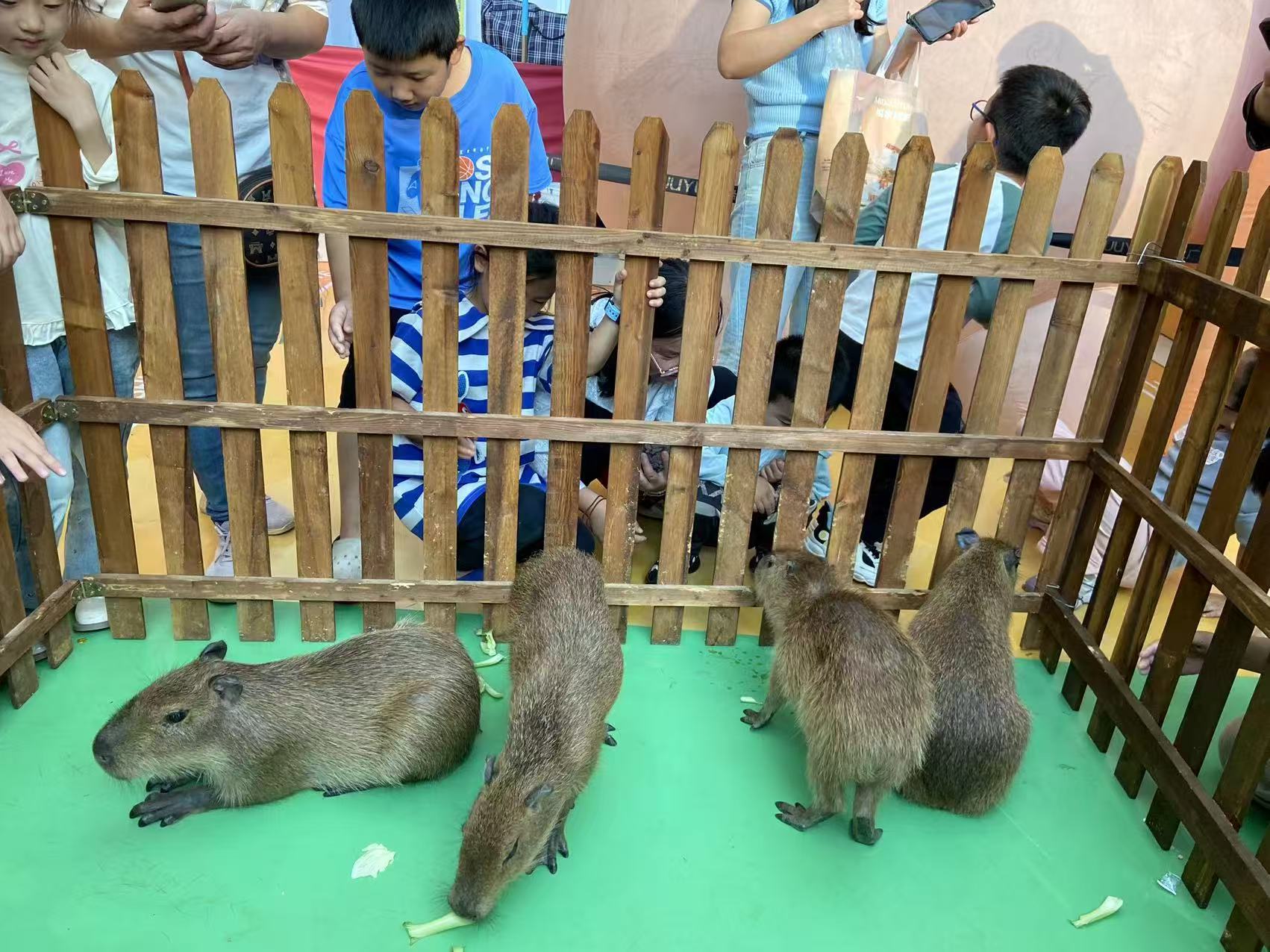 诚信供应租赁资质核查的厂家