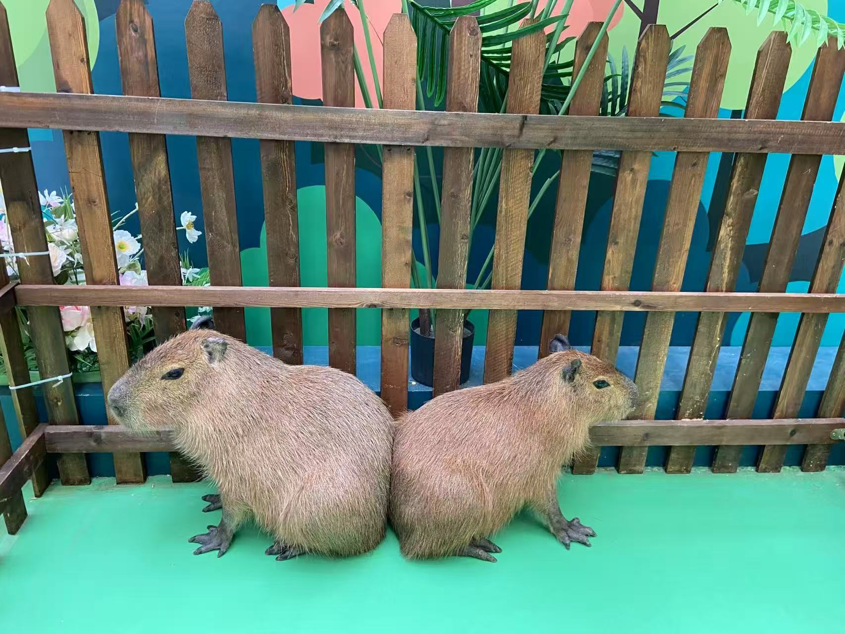 甄选：龙岩连城企业团建生产厂家