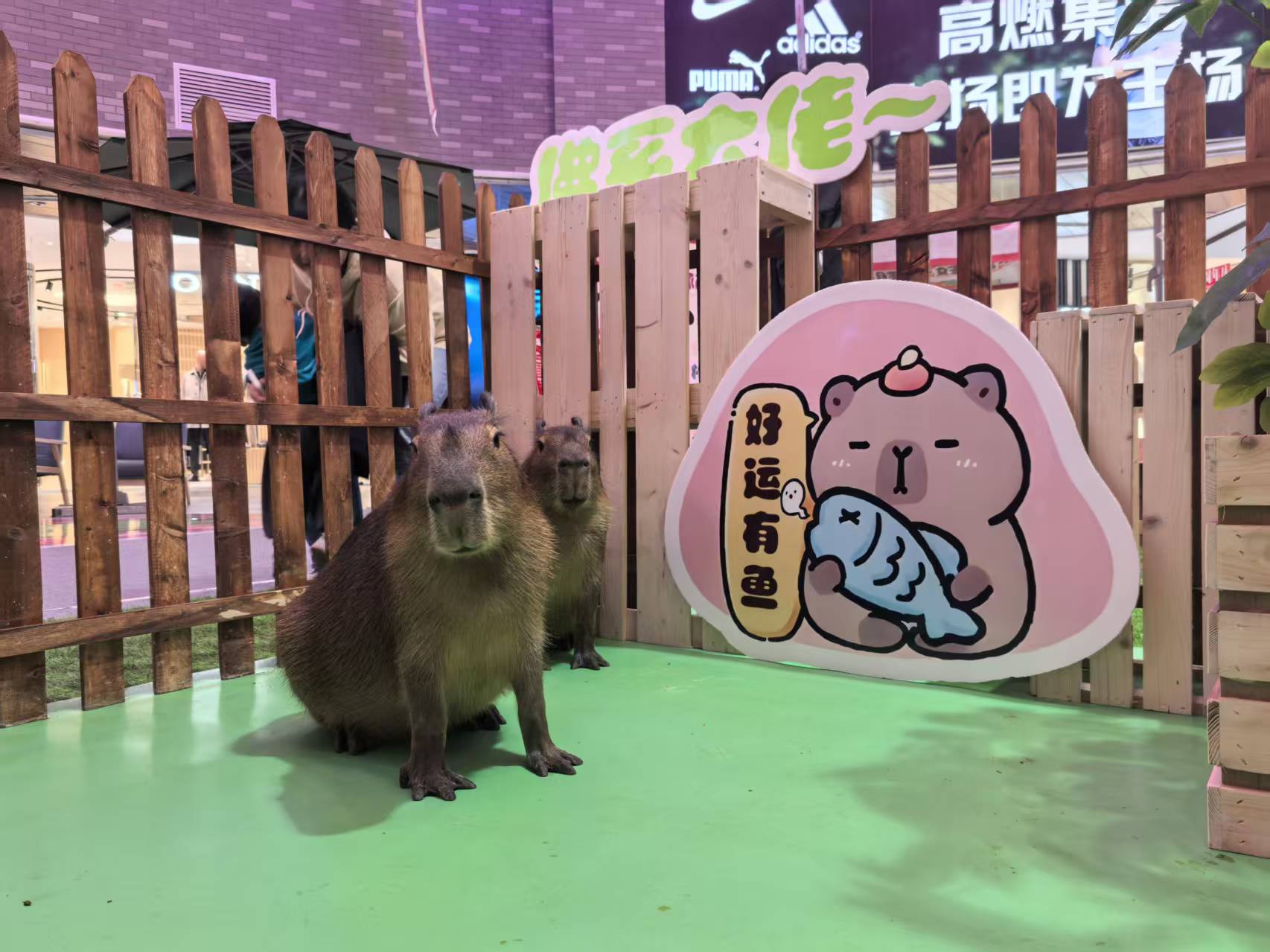 北京怀柔策划、策划生产厂家—薄利多销