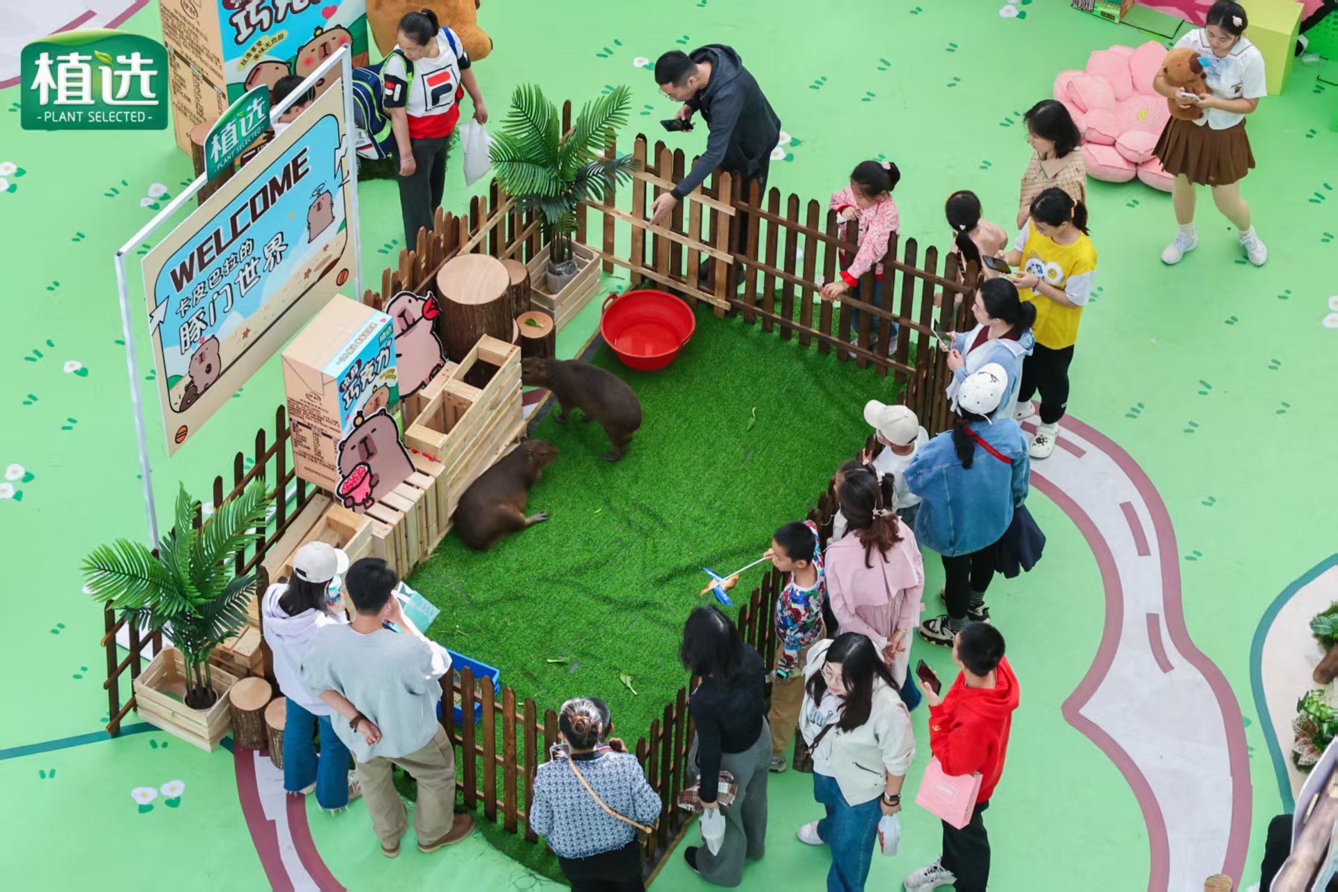 石家庄深泽养殖基地样式众多