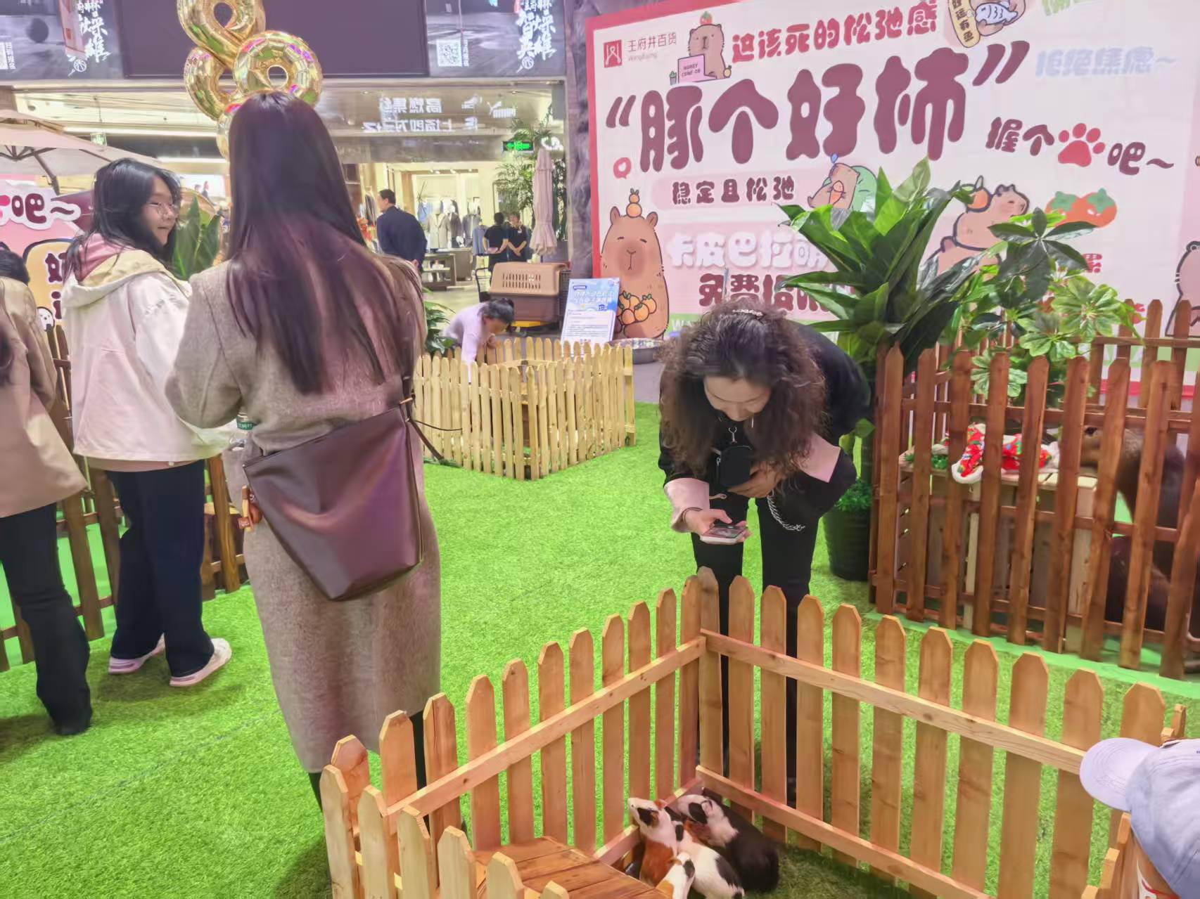 企业团建价格公道