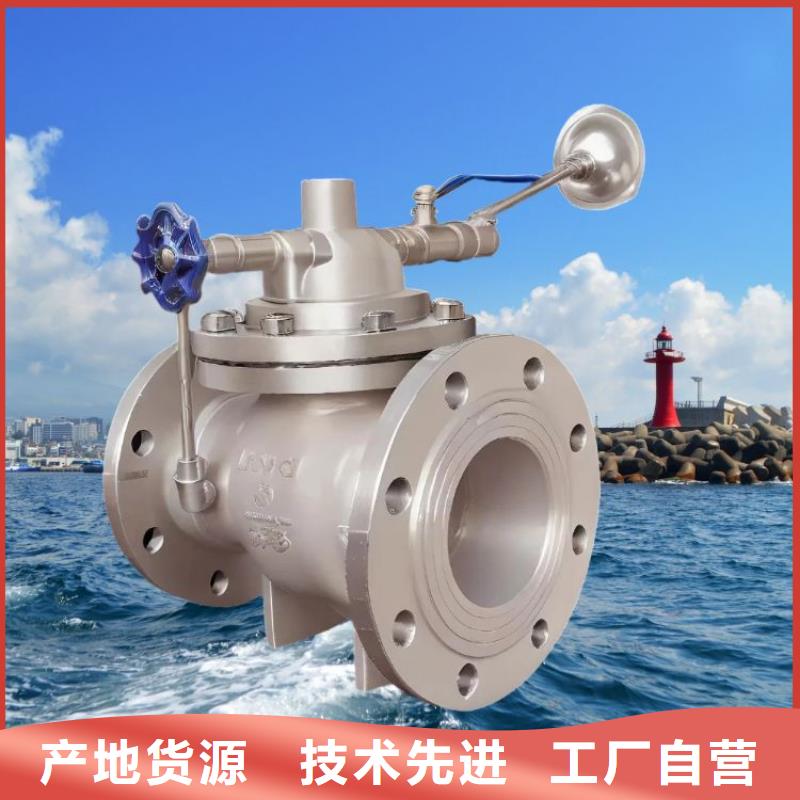 水力控制阀-升降式止回阀产品优势特点大库存无缺货危机