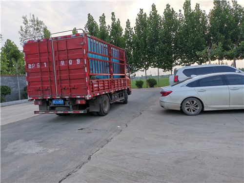 嘉峪关低压柴油发电机租赁质量好不好