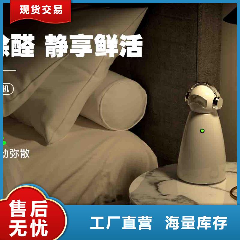 小白孕妇空气守护机【小白祛味王】工艺成熟当地货源
