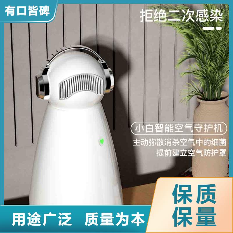 小白孕妇空气守护机-【小白祛味王现货】经验丰富质量放心本地区供应商