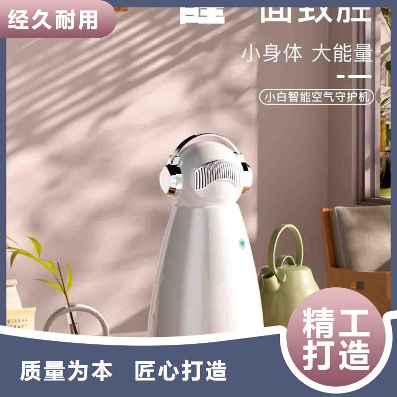 连云港小白婴儿空气守护机小白祛味王生产企业匠心工艺