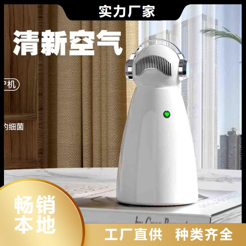 小白空气守护机小白祛味王生产企业量大更优惠专业品质