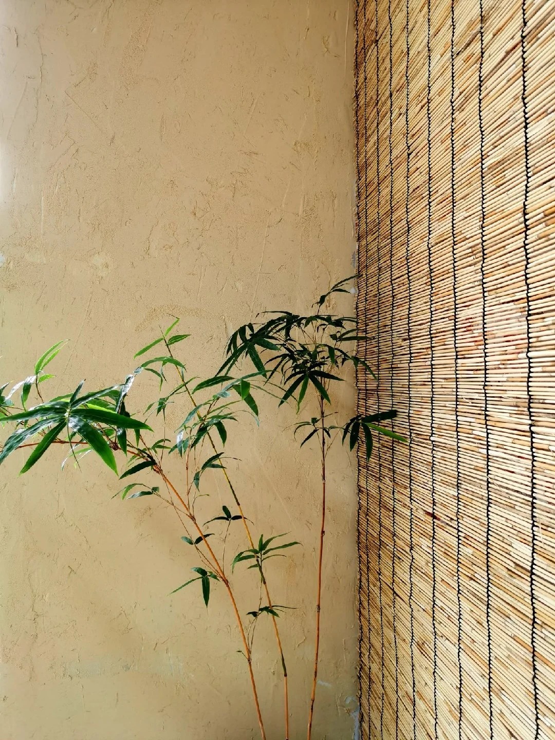 长兴稻草漆稻草泥涂料价格货真价实