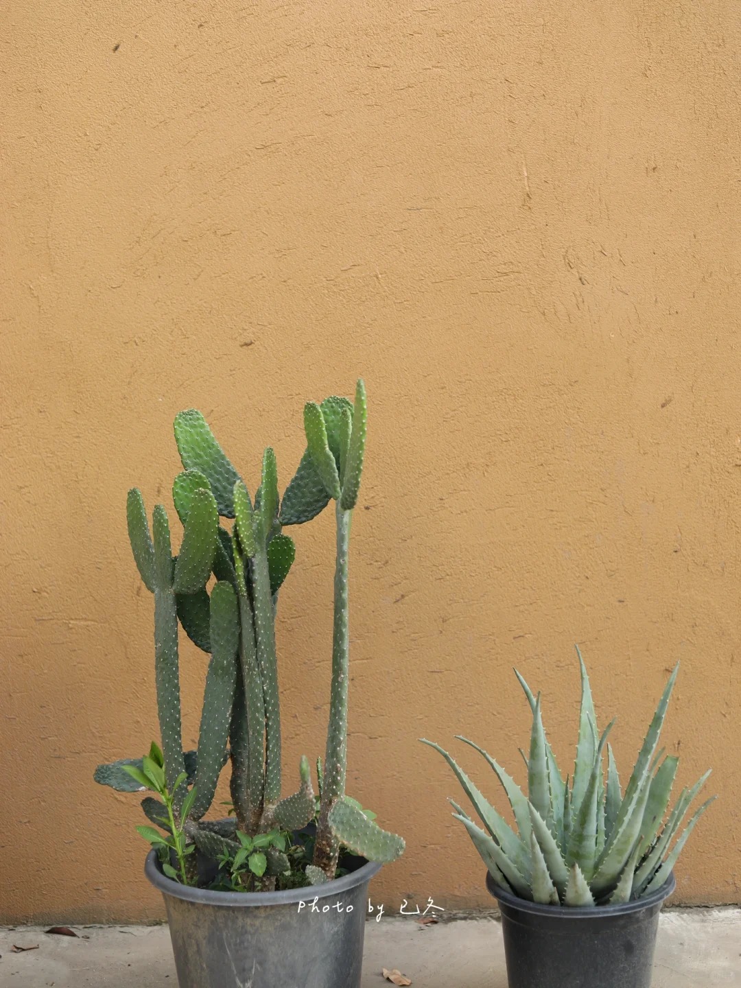 云南曲靖仿夯土稻草漆，艺术涂料厂家，农家小院改造，仿夯土涂料施工报价