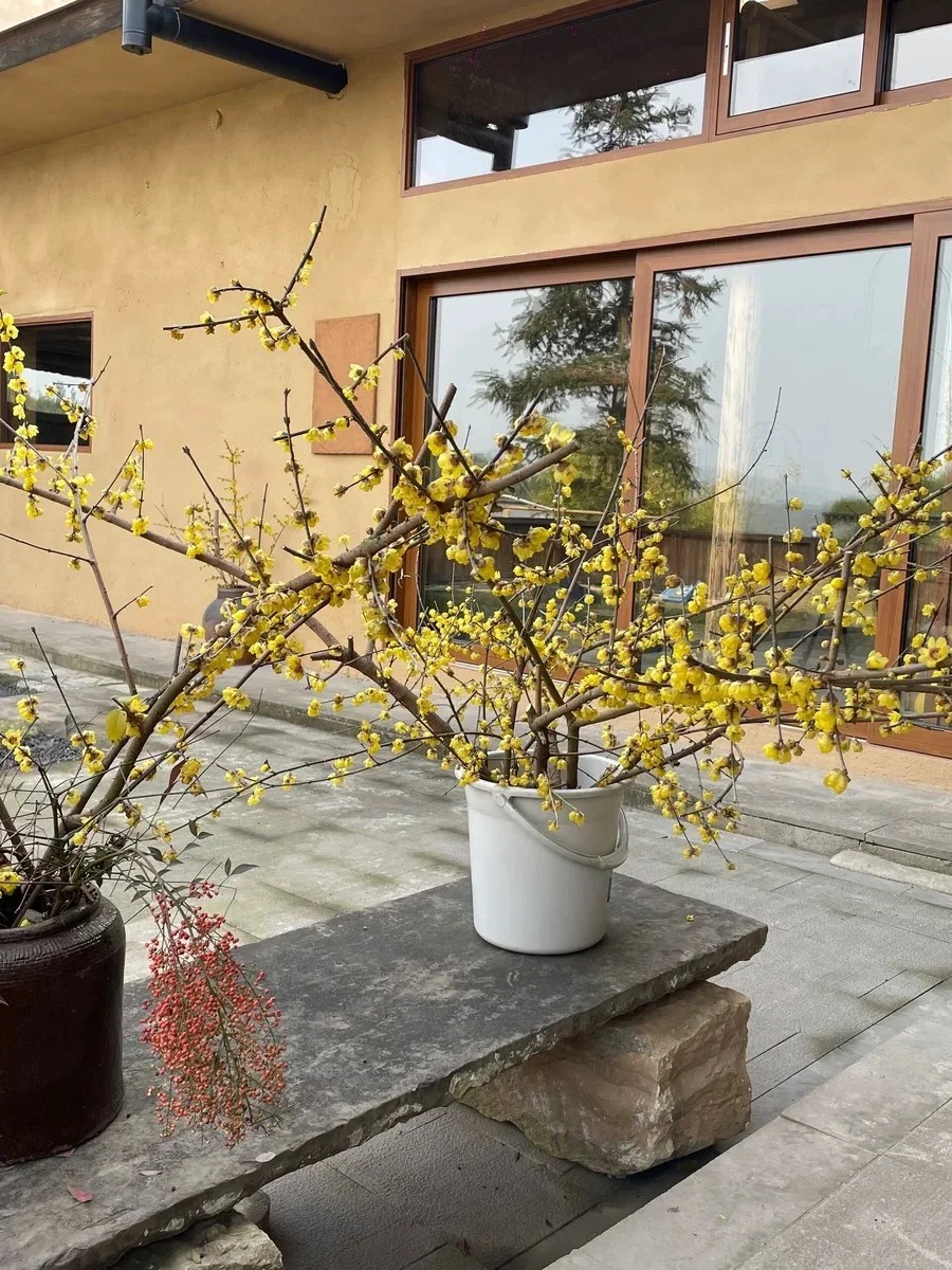 宁夏稻草墙来厂考察艺术漆