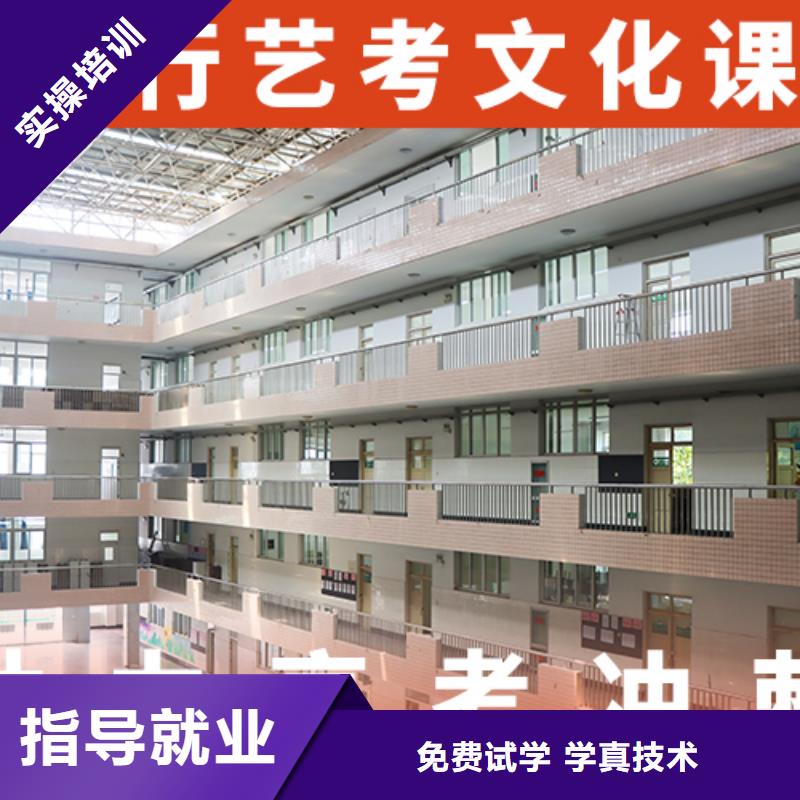 艺考生文化课辅导集训哪里学校好学真技术