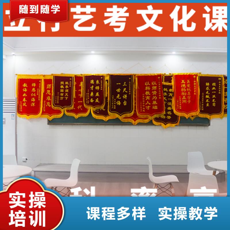 艺考文化课培训艺术生文化补习学真技术