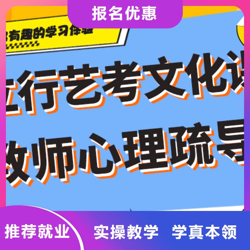 艺考文化课班价格雄厚的师资手把手教学