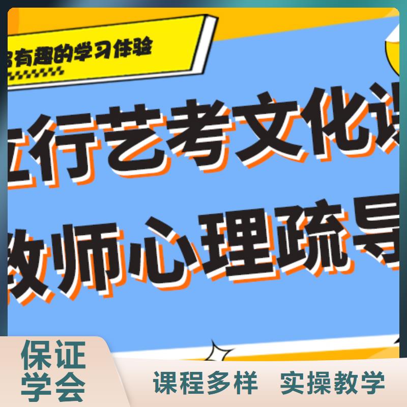 艺考生文化课对比情况理论+实操