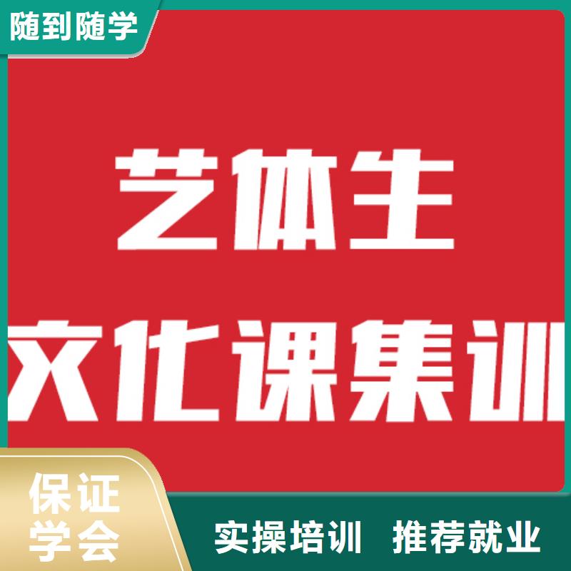 艺考生文化课培训学校2024级怎么选手把手教学