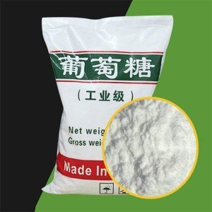 嘉鱼葡萄糖通过检测