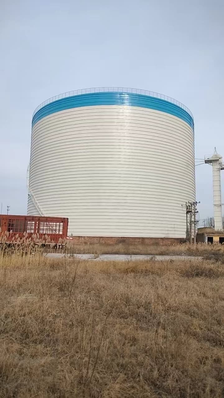 佳木斯汤原20000吨钢板仓实体厂家质量有保障