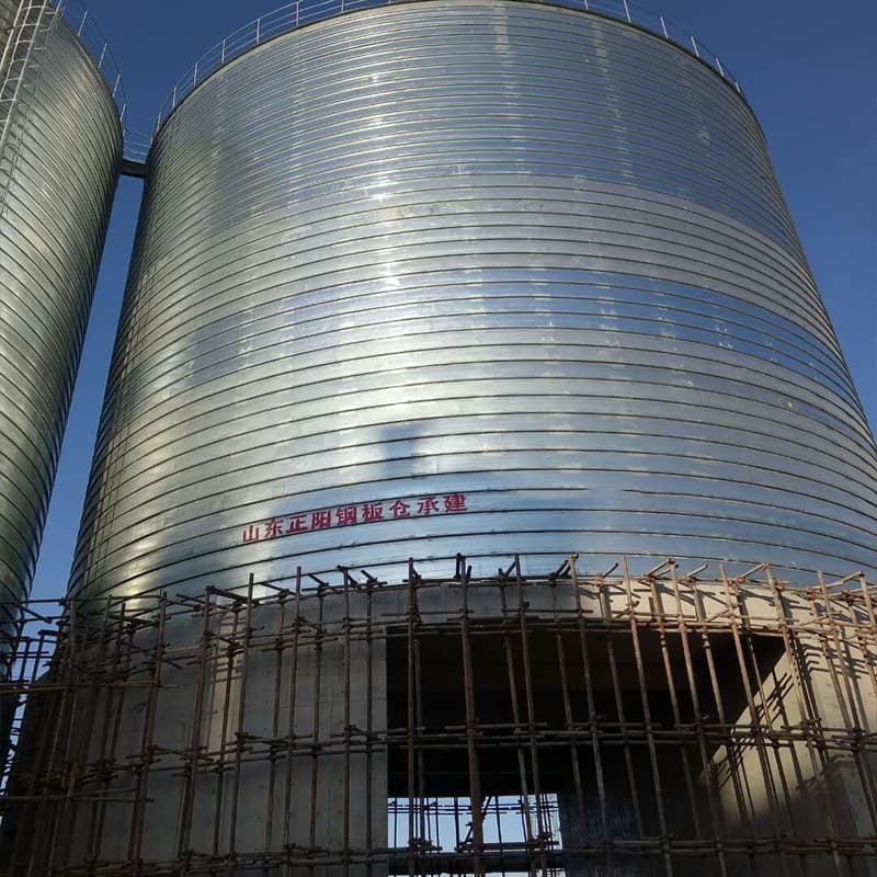 8000吨利浦仓行业动态实体诚信经营