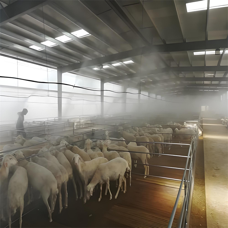 车辆人员自动消毒通道品质放心