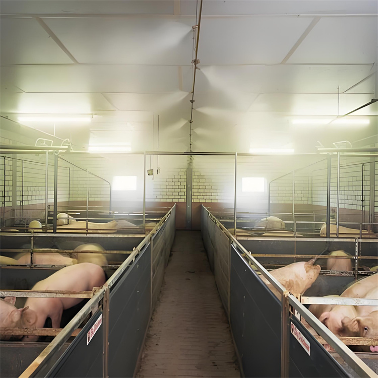 深圳西丽生猪养殖场喷淋消毒设备质量好