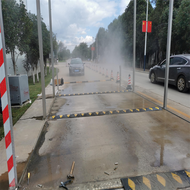 2025报价快的#车辆人员消毒喷雾#厂家