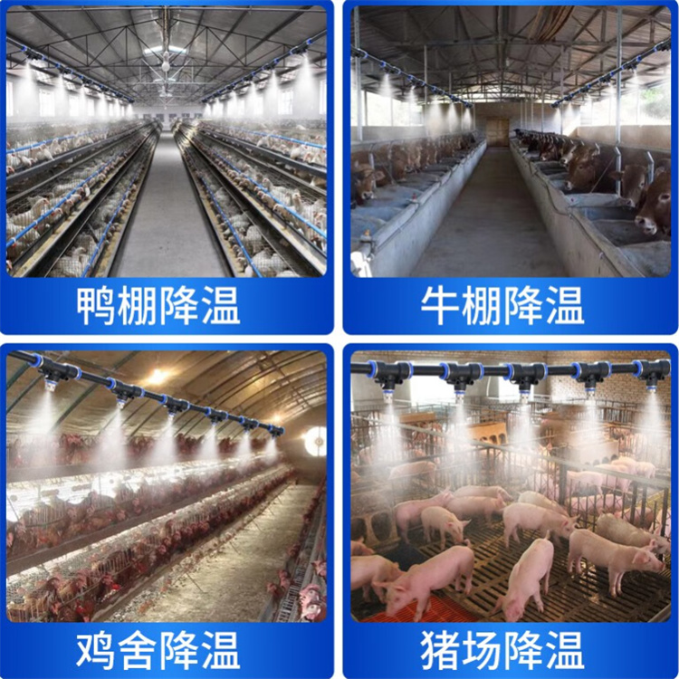 龙岩新罗货源充足的车辆人员消毒喷雾实力厂家