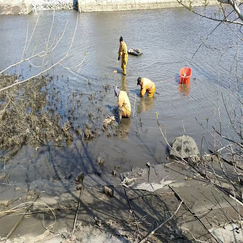 黔东南施秉荷花苗乡村建设-品质保障