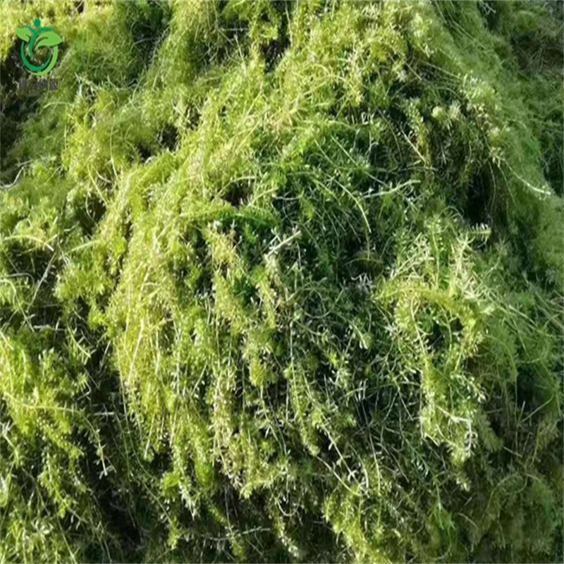 咸阳永寿水质净化厂家/欢迎致电