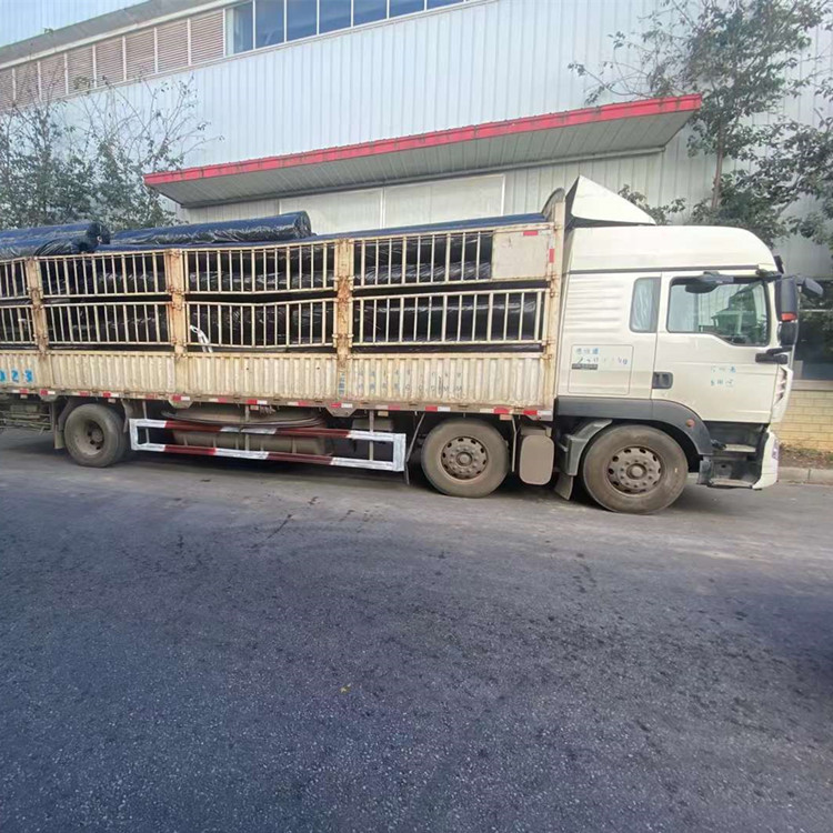 陵水县单向土工格栅型号齐全