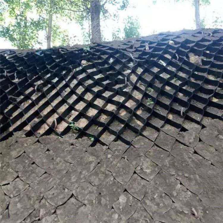 铆接土工格室免费拿样