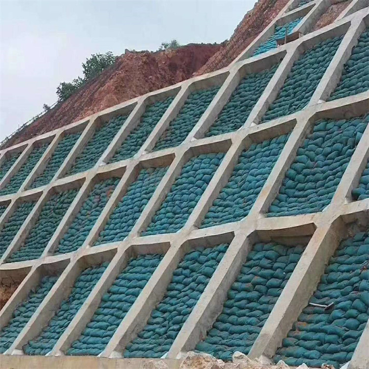 生态袋丙纶生态袋产品优势特点