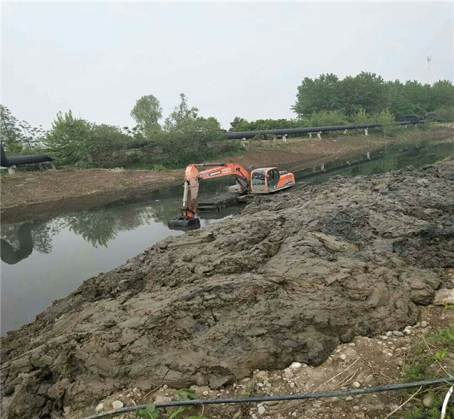 文山麻栗坡重信誉山东水陆挖掘机出租厂家直销