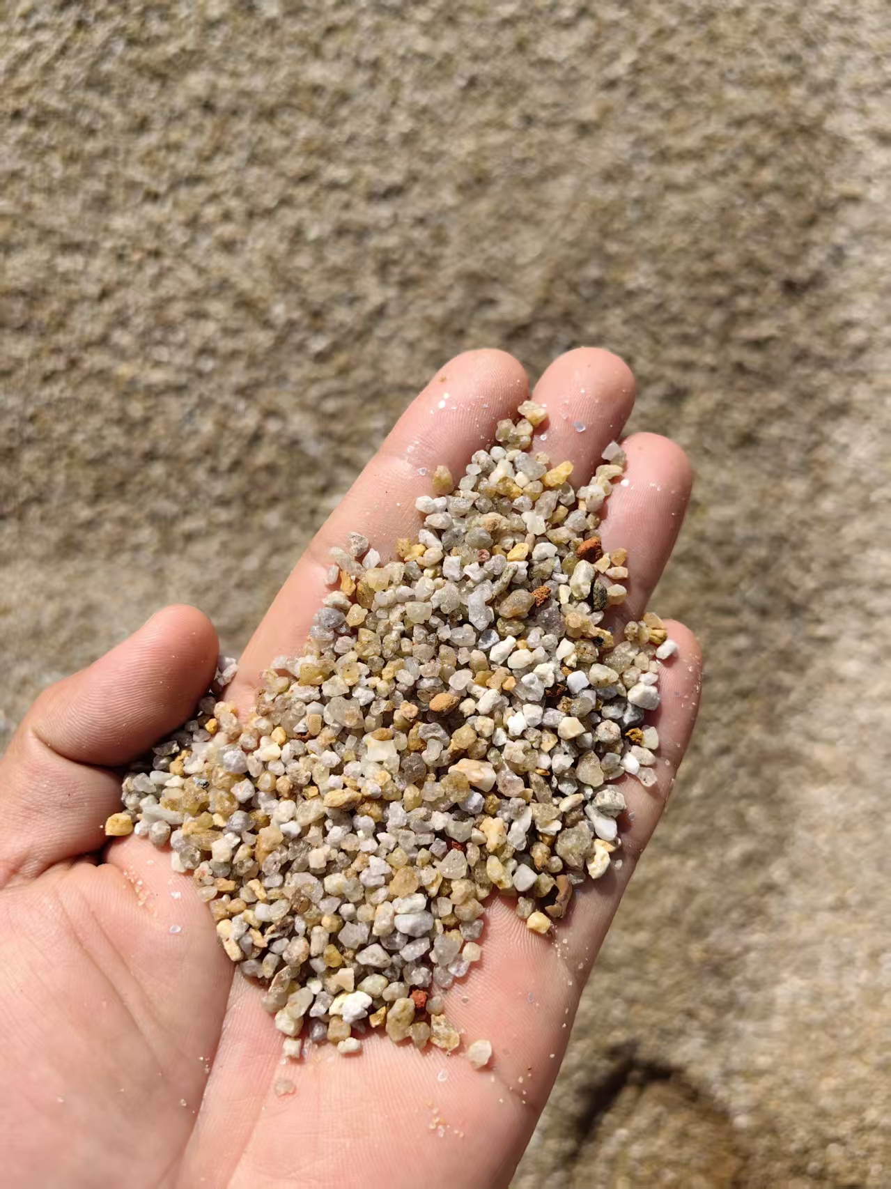 楚雄排水场海砂源头厂家电话