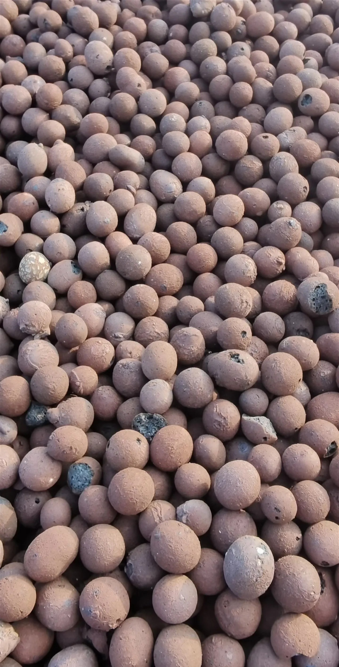 伊犁附近陶粒滤料厂家怎么选散装运输