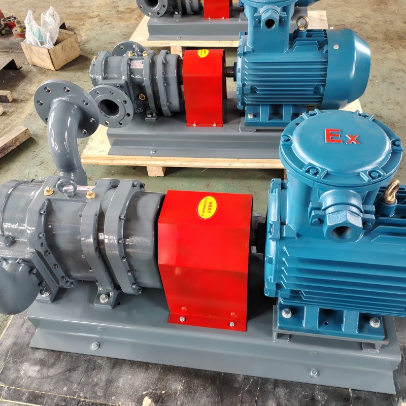 容积式转子泵 现货定做