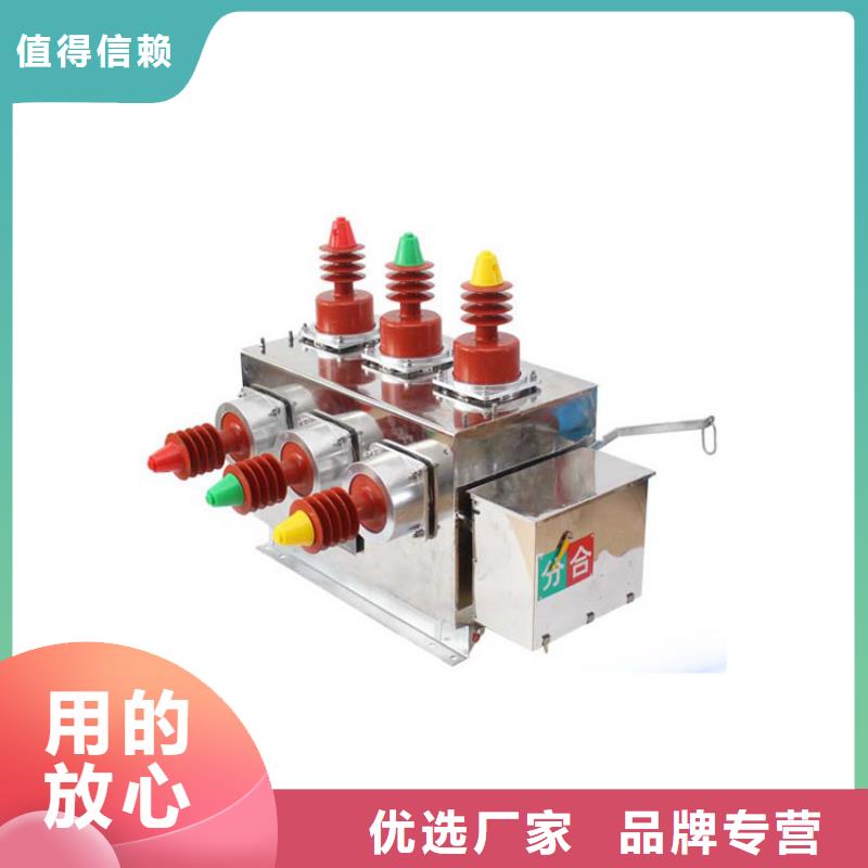 ZWM9-12/630-20型永磁真空断路器附近供应商