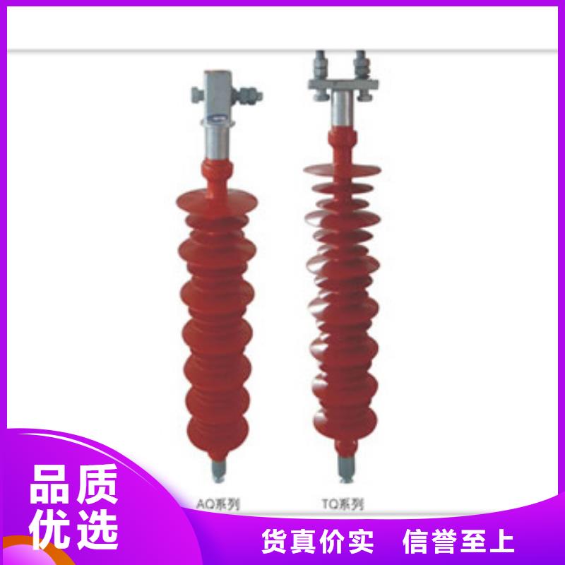 绝缘子真空断路器选择我们没错工厂价格