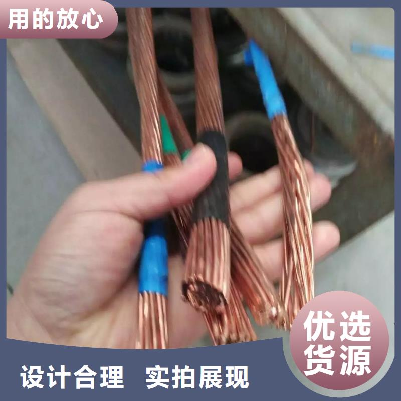 换流站镀锡铜绞线TJX50㎜2/一米多少文好品质经得住考验