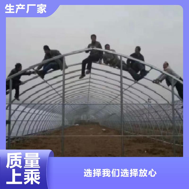 镀锌椭圆管哪里质量好同城供应商