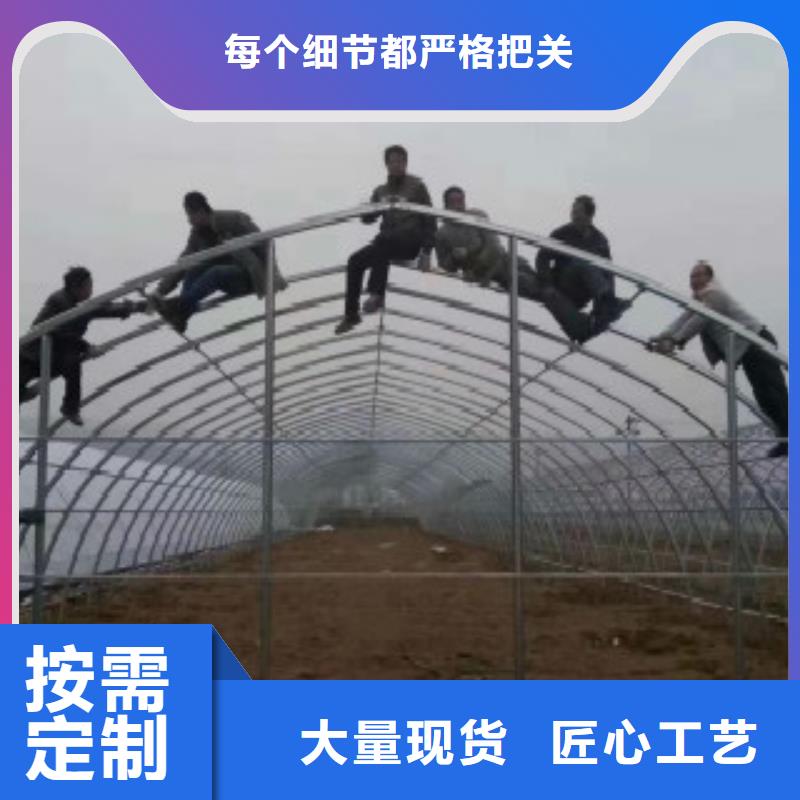 大棚管农业蔬菜用老客户钟爱