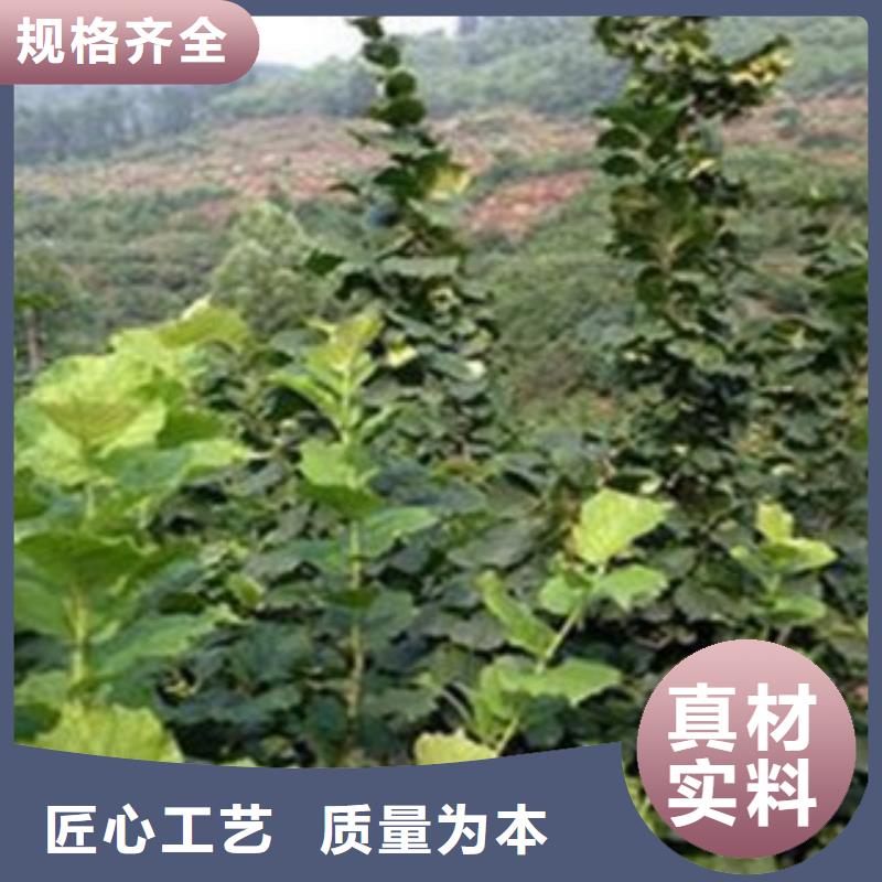 1.2公分种植技术一站式采购