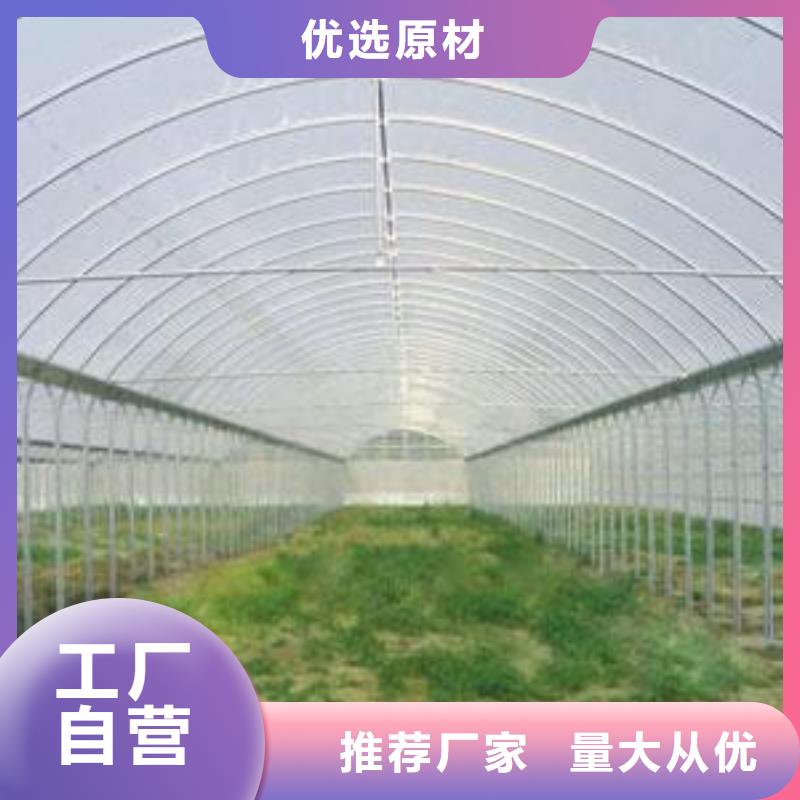 镀锌大棚管_Q345B价格工程施工案例