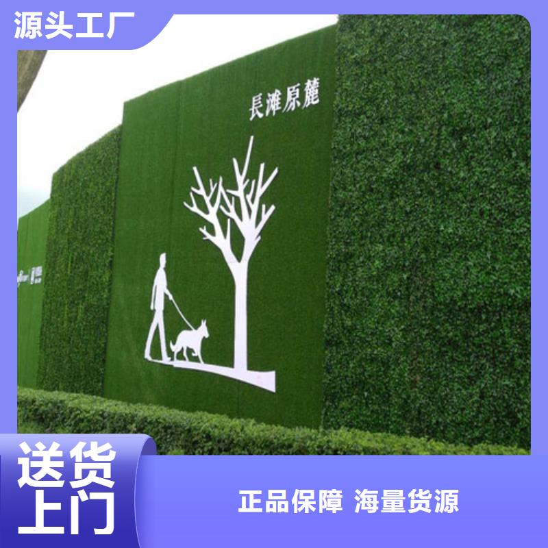 围档草坪多少钱精湛工艺持久耐用经久耐用