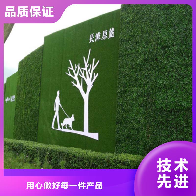 建筑工地施工围挡草皮绿色环保生产厂家同城制造商