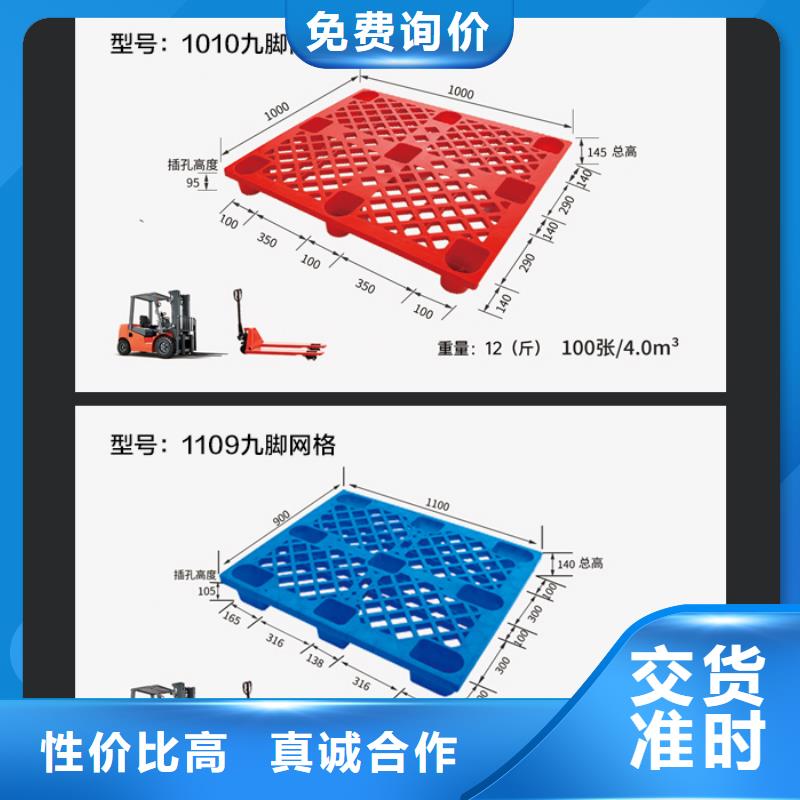 大型物流冷库塑料托盘生产厂家现货销售