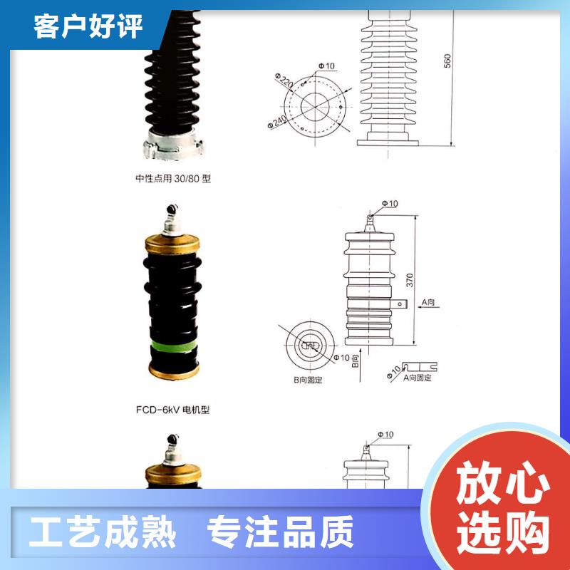 厂家可卸式跌落式避雷器氧化锌避雷器HY5WS高压避雷器直销现货当地供应商